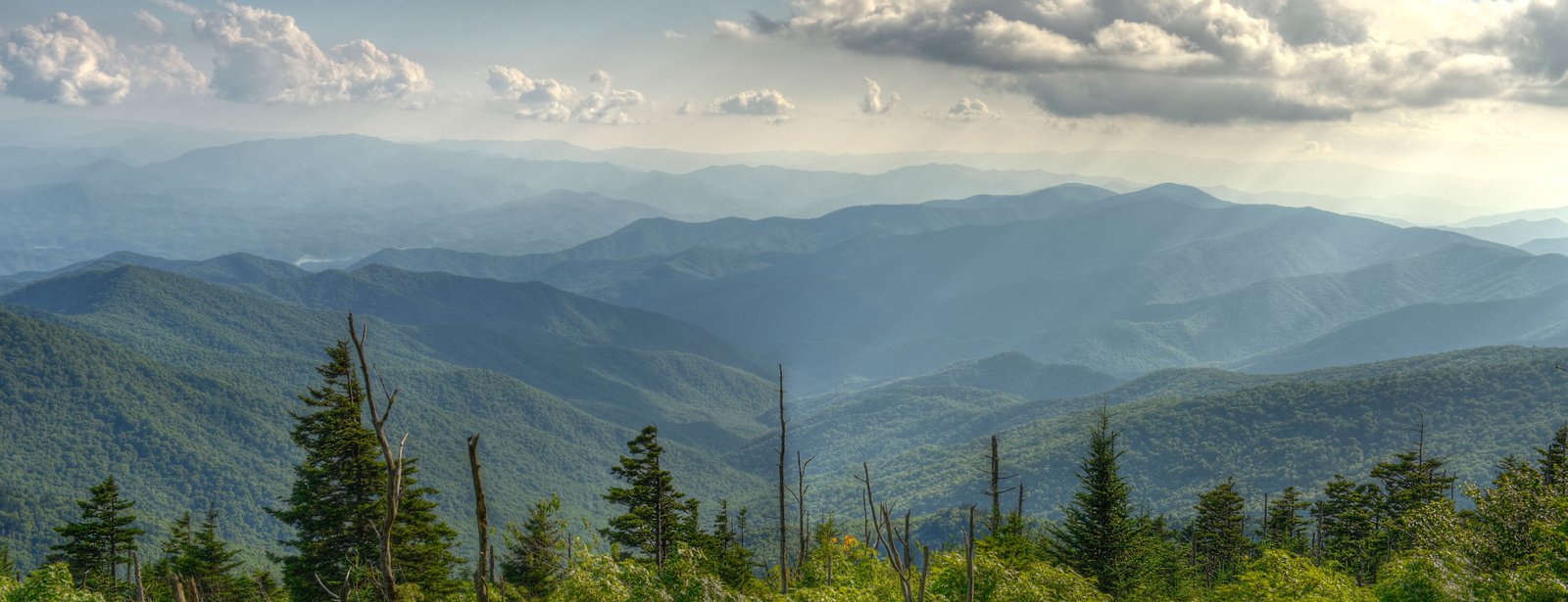 Runex Store Runex Store